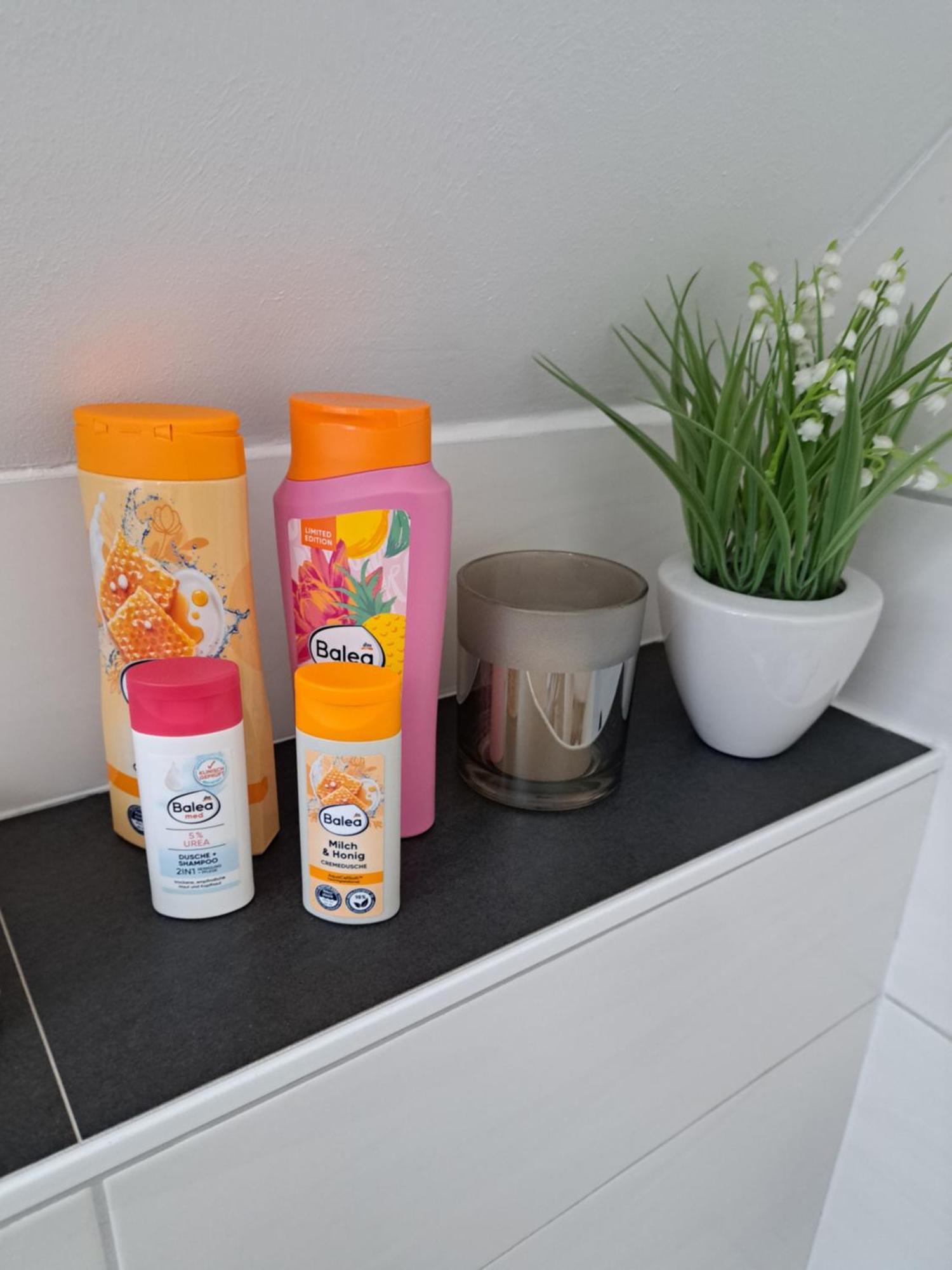 Wunderschoenes 2 Zimmer Apartment Inkl. Parkplatz Asbach  Екстериор снимка